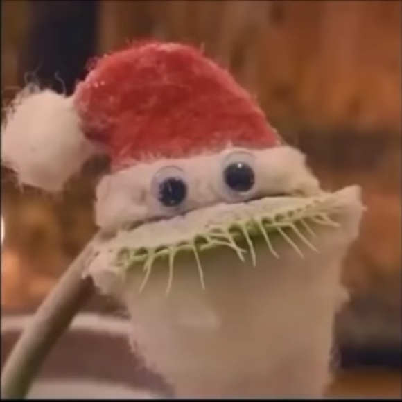 Meet your Posher, Bridget - Picture 1 of 1